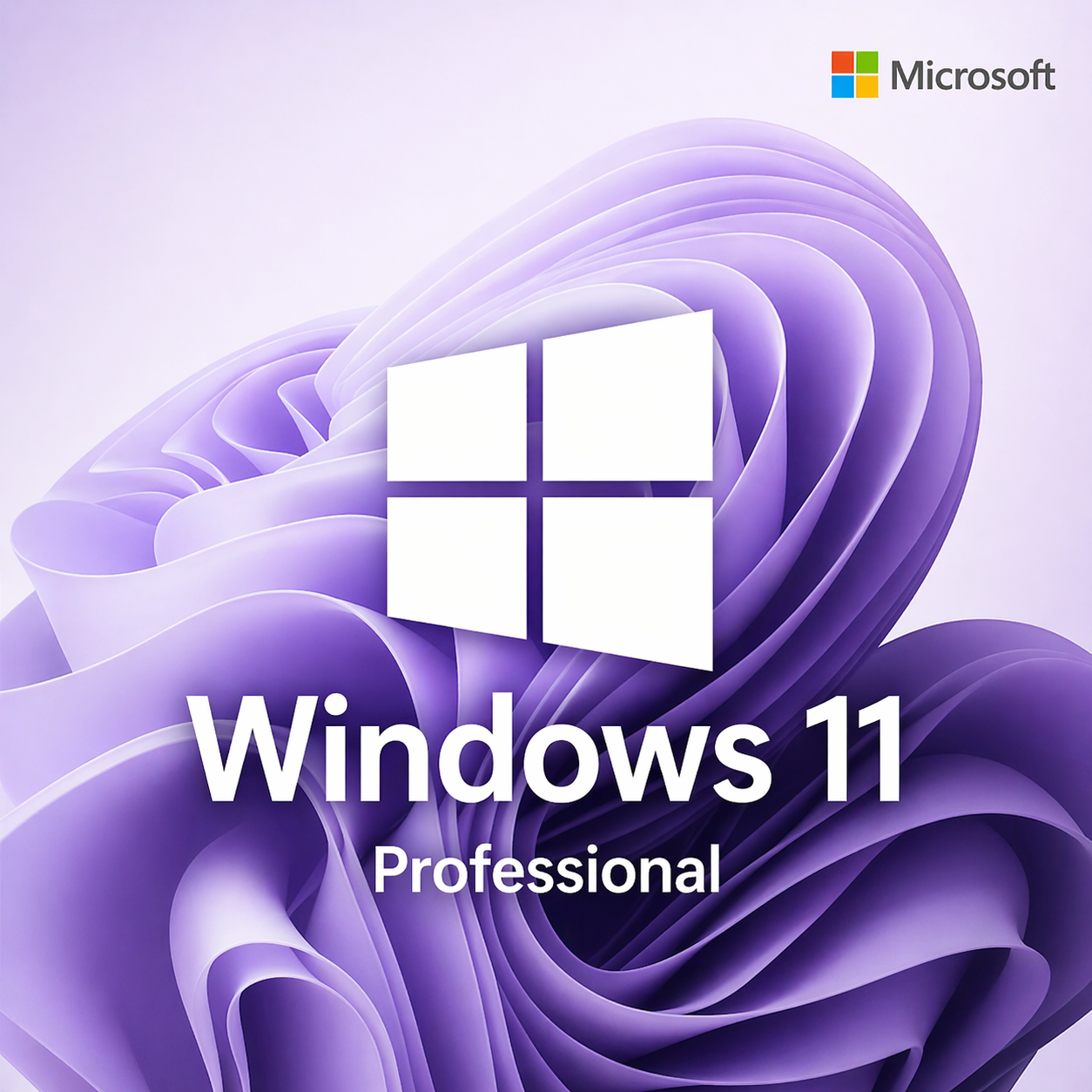 Windows 11 Professional