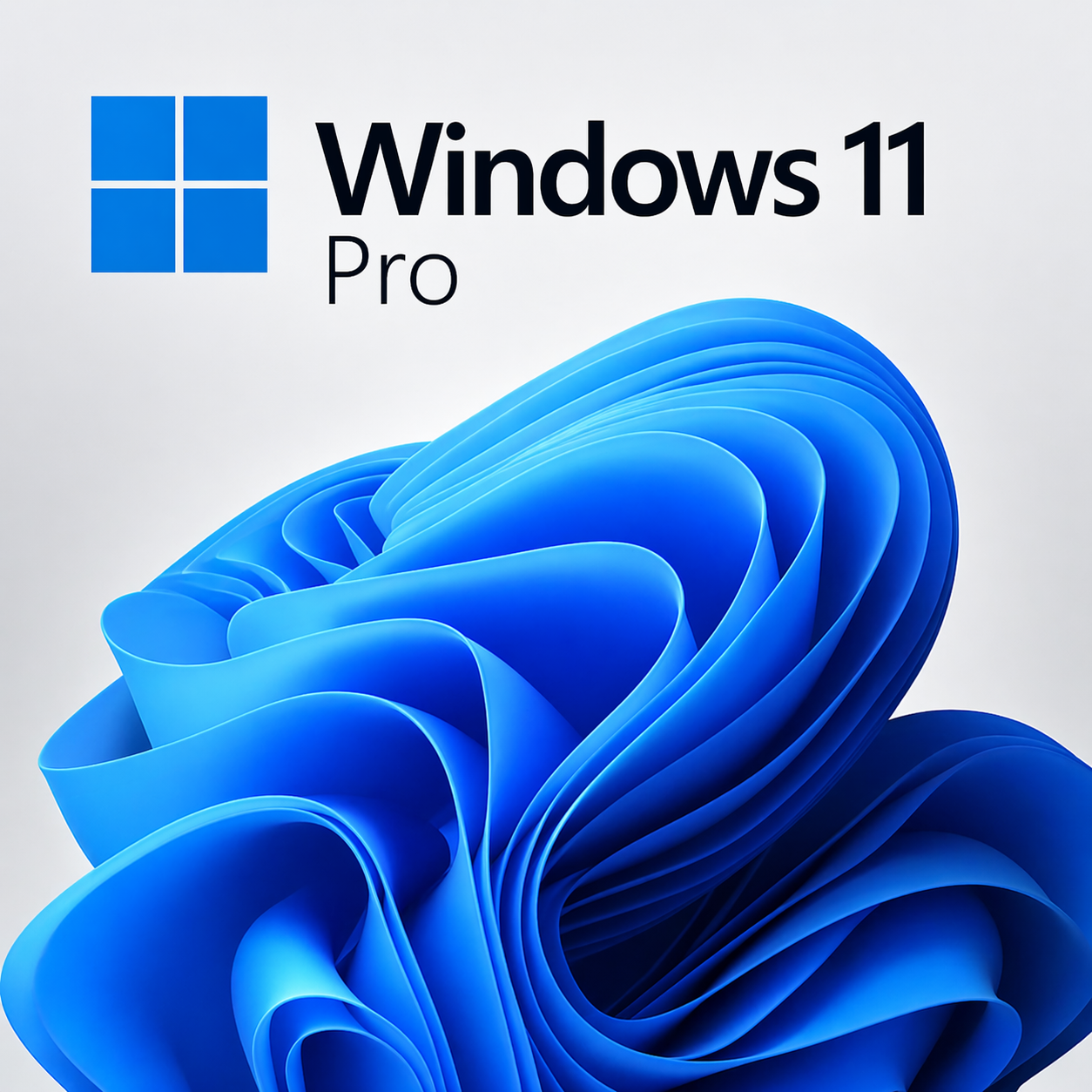 Windows 11 Professional
