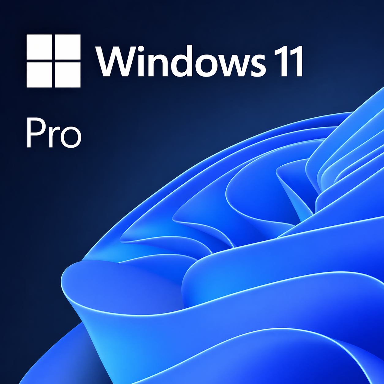 Windows 11 Professional