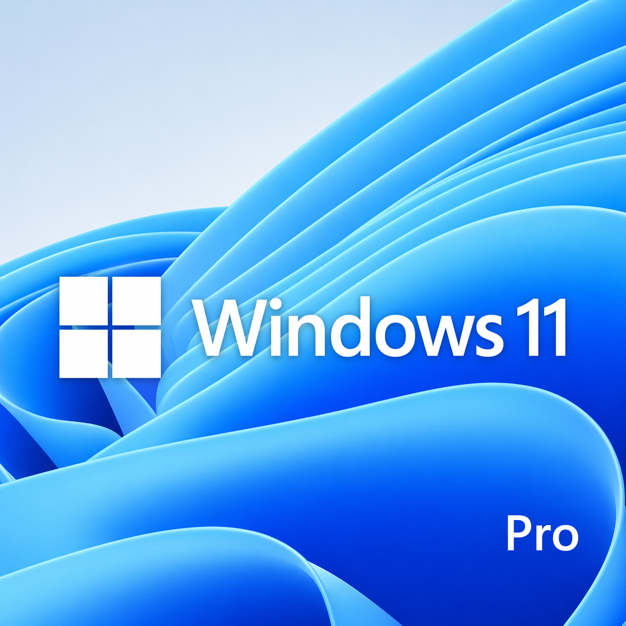 Windows 11 Professional